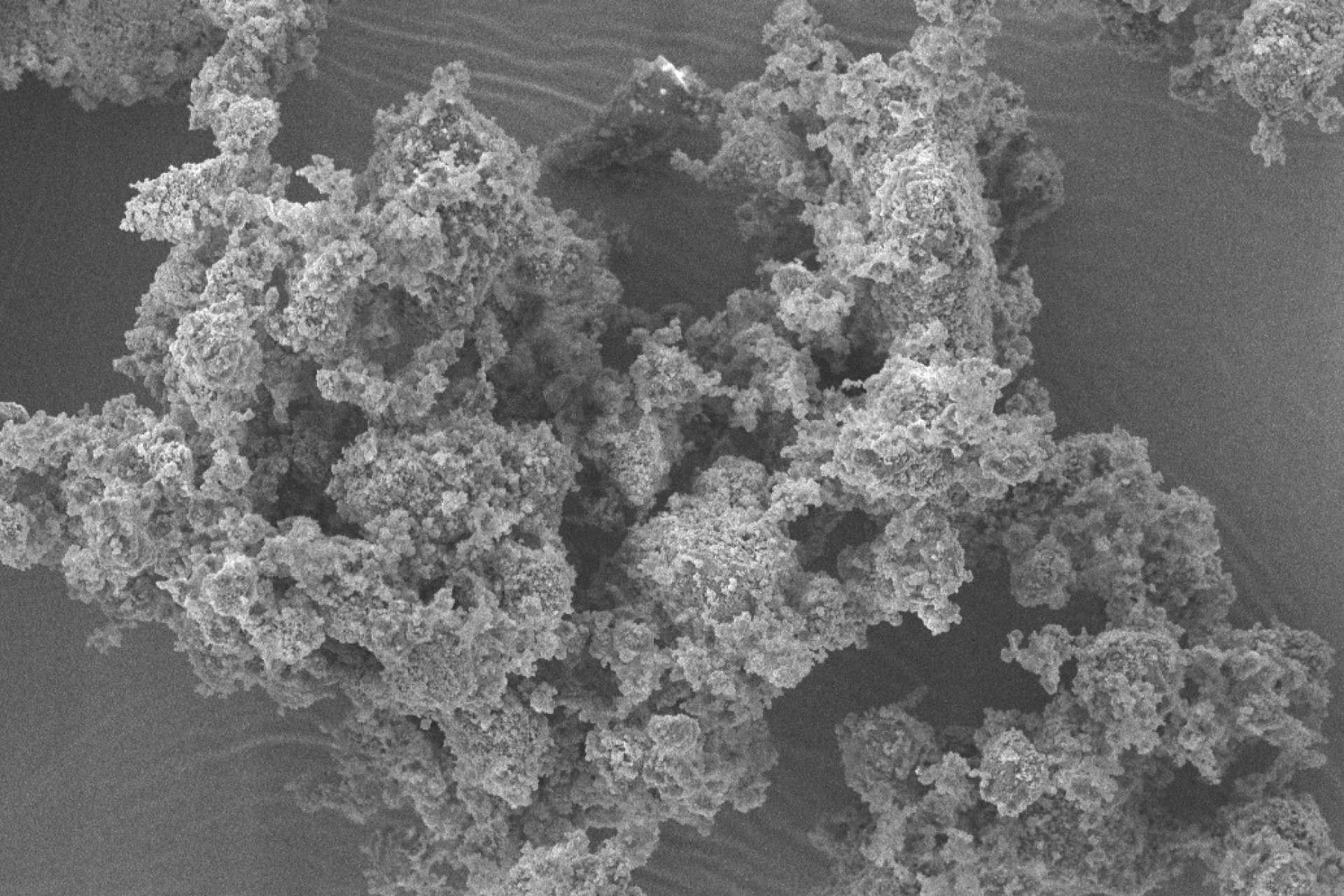 bioactive glass 1